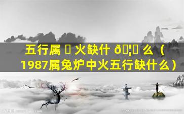 五行属 ☘ 火缺什 🦊 么（1987属兔炉中火五行缺什么）